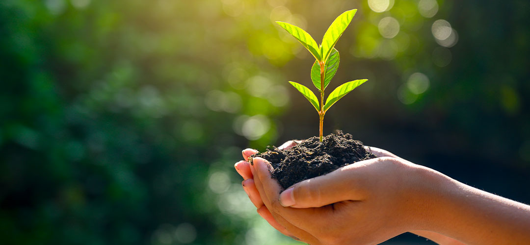 Marchés publics et critères RSE : comment intégrer les exigences sociales et environnementales